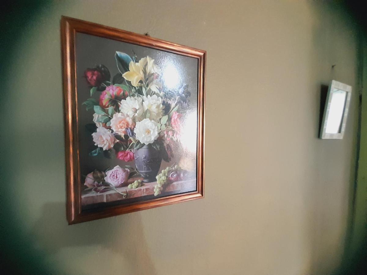 Hostal Sol Iguazu Puerto Iguazu Bagian luar foto